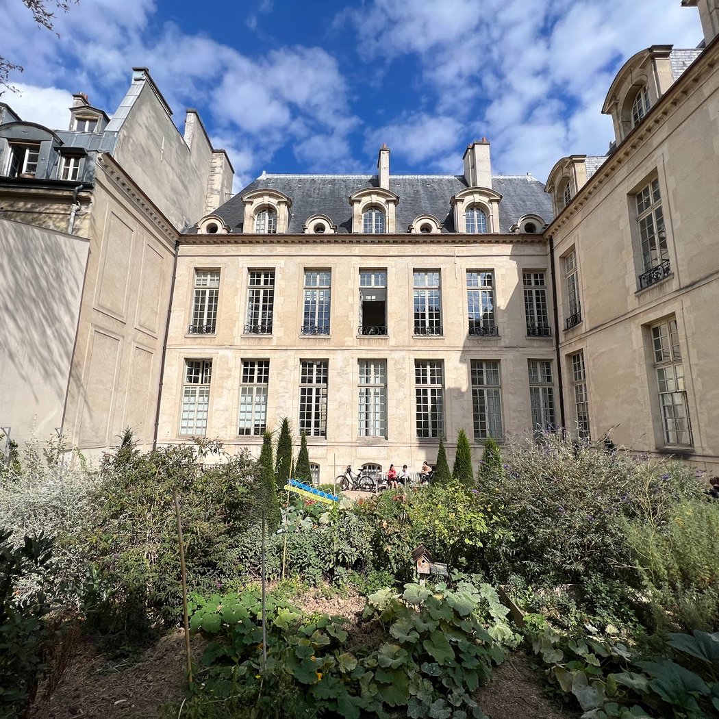 Rosiers Joseph Migneret Garden 1